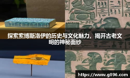 bsports登录入口
