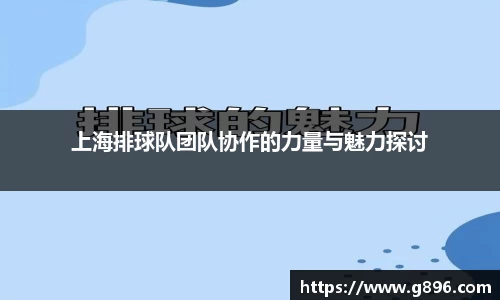 上海排球队团队协作的力量与魅力探讨